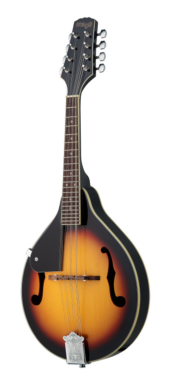 mandolin guitar brickyards studio and music shop